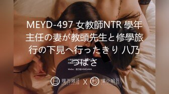 MEYD-497 女教師NTR 學年主任の妻が教頭先生と修學旅行の下見へ行ったきり 八乃つばさ