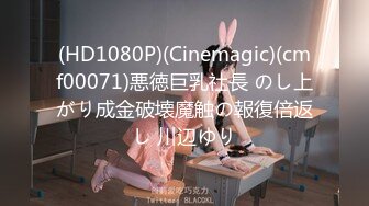 (HD1080P)(Cinemagic)(cmf00071)悪徳巨乳社長 のし上がり成金破壊魔触の報復倍返し 川辺ゆり