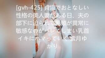 [gvh-425] 貞淑でおとなしい性格の美人妻がある日、夫の部下に迫られて乳頭が異常に敏感なのがバレてしまい乳首イキにハマっていく 紫月ゆかり