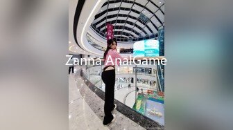 Zanna AnalGame