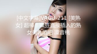 [中文字幕]VAGU-211 [美熟女] 超棒！瘋狂直接插入的熟女美乳酒吧 凜音桃