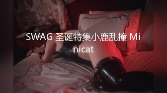 SWAG 圣诞特集小鹿乱撞 Minicat